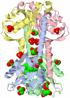 Image Biological Unit 5