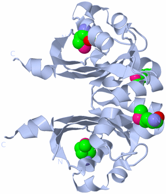 Image Biological Unit 1