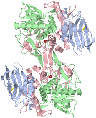 Image Biological Unit 1