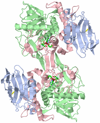 Image Biol. Unit 1 - sites