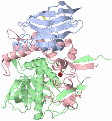 Image Biological Unit 2