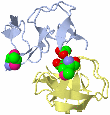 Image Biological Unit 1