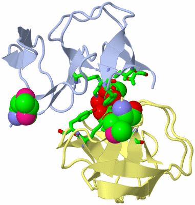 Image Biol. Unit 1 - sites