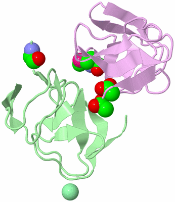 Image Biological Unit 2