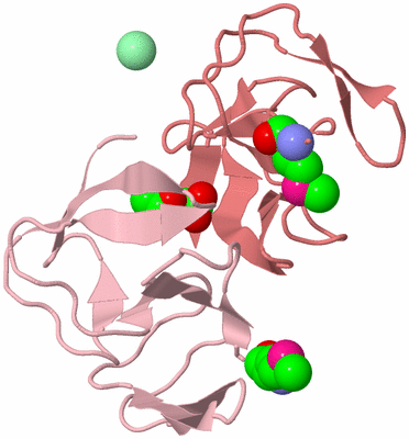 Image Biological Unit 3