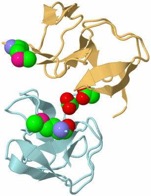 Image Biological Unit 4