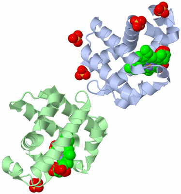 Image Biological Unit 1