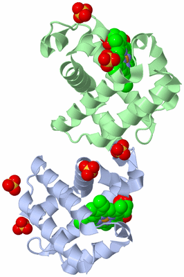 Image Biological Unit 2