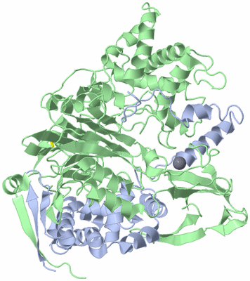 Image Asym./Biol. Unit