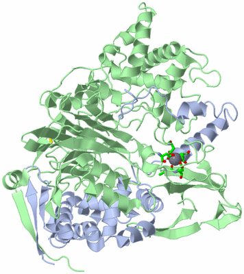 Image Asym./Biol. Unit - sites