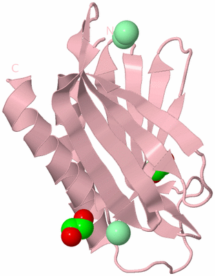 Image Biological Unit 3