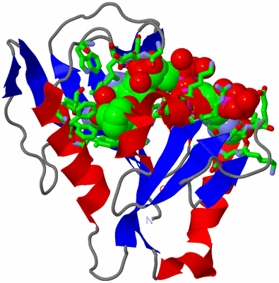 Image Asym./Biol. Unit - sites