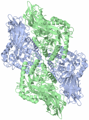 Image Biological Unit 1