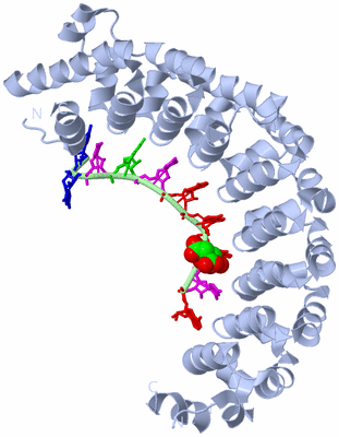 Image Biological Unit 1