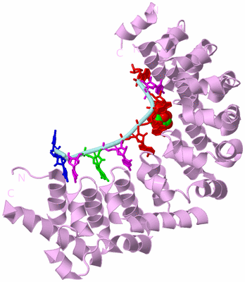 Image Biological Unit 3