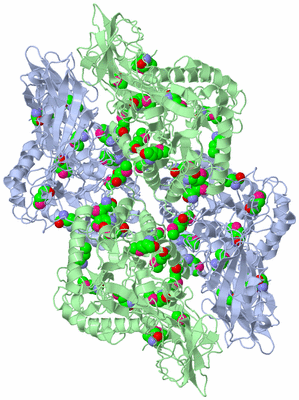 Image Biological Unit 1