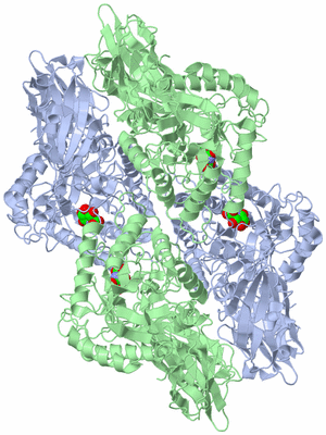 Image Biological Unit 1