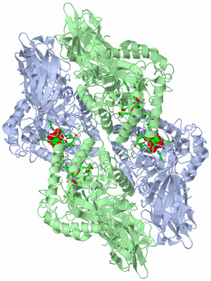 Image Biol. Unit 1 - sites