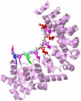 Image Biological Unit 3