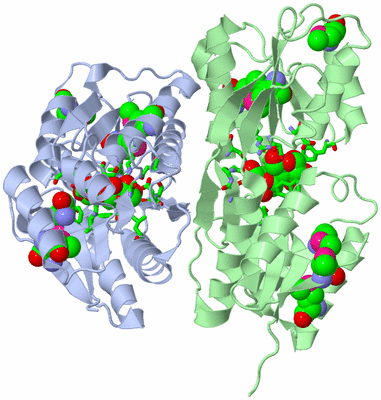 Image Biol. Unit 1 - sites