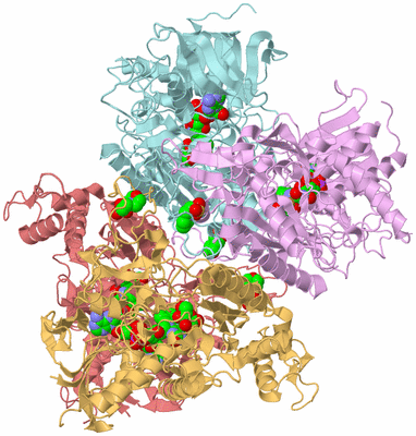 Image Biological Unit 2