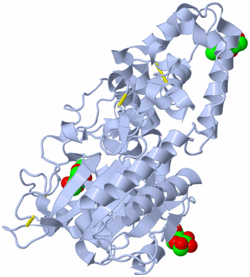 Image Biological Unit 1