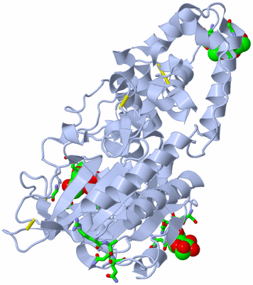 Image Biol. Unit 1 - sites