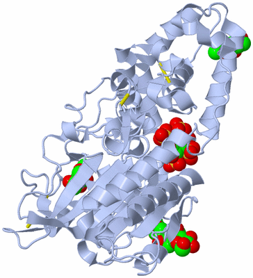 Image Biological Unit 1