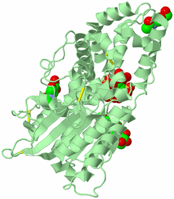 Image Biological Unit 2