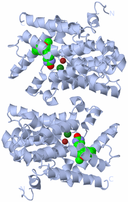 Image Biological Unit 1