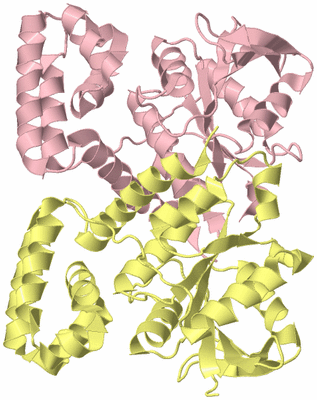 Image Biological Unit 2