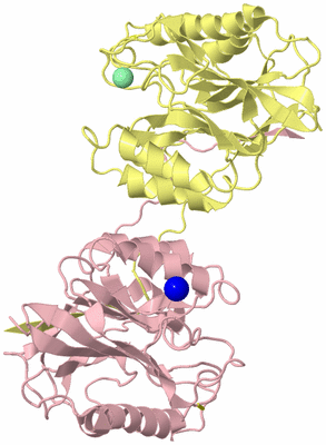 Image Biological Unit 2