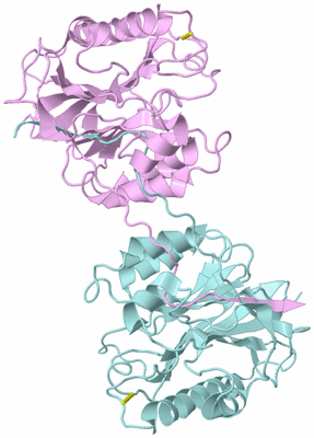 Image Biological Unit 3