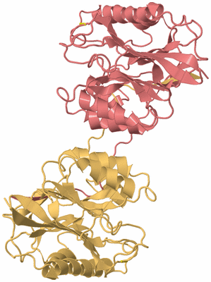 Image Biological Unit 4