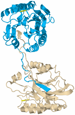 Image Biological Unit 5