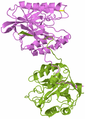 Image Biological Unit 7