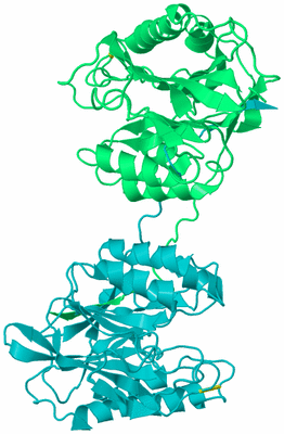 Image Biological Unit 8