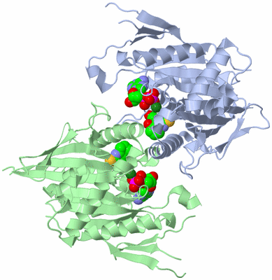 Image Biological Unit 1