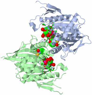 Image Biol. Unit 1 - sites