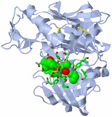 Image Biol. Unit 1 - sites