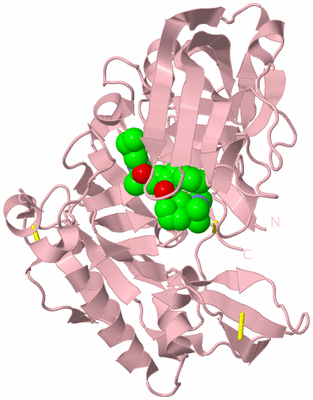 Image Biological Unit 3