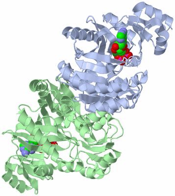 Image Biological Unit 1