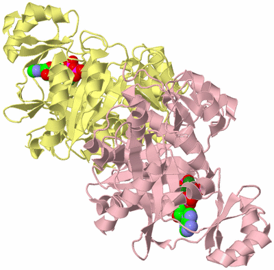 Image Biological Unit 2
