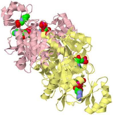 Image Biological Unit 2