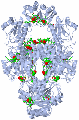 Image Biol. Unit 1 - sites