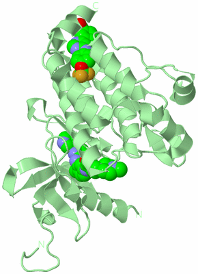 Image Biological Unit 2