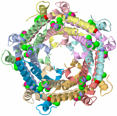 Image Asym./Biol. Unit