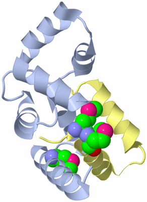 Image Biological Unit 1