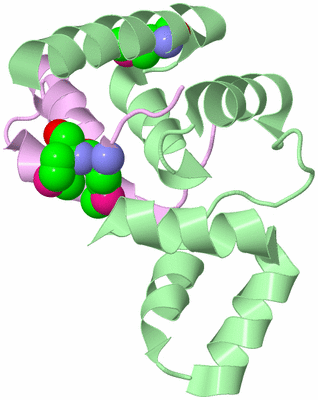 Image Biological Unit 2