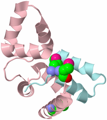 Image Biological Unit 3